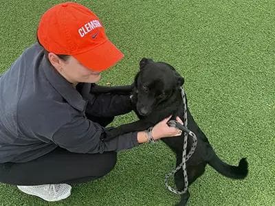 Meghan White - image0 - Meghan White