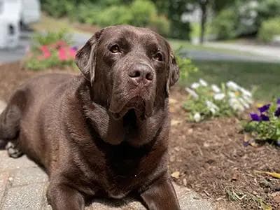 Tim Dugan - T-Dugan Bio 4 - Tim Dugan