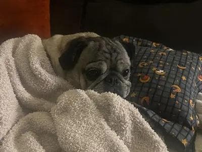 Tyler Bishop - img_0098_720 - Tyler Bishop