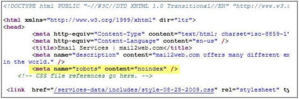 Noindex tag in the View Page Source window