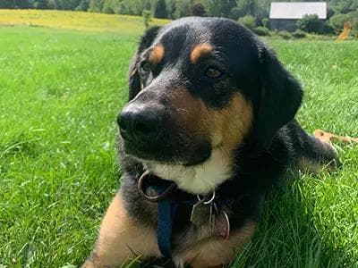 Mike Shirley - IMG_0598 - Mike Shirley