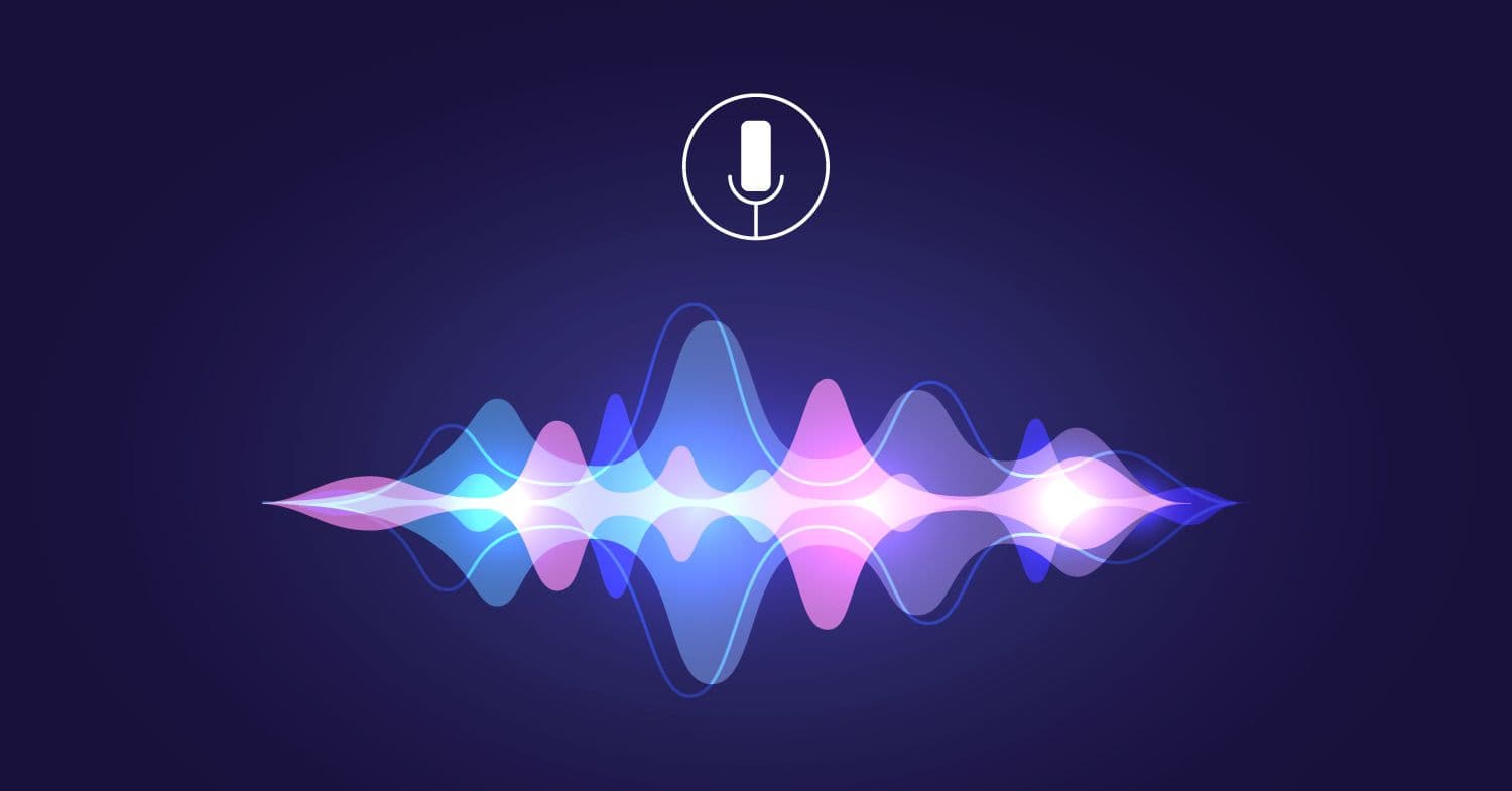 Voice Search Intention Categories