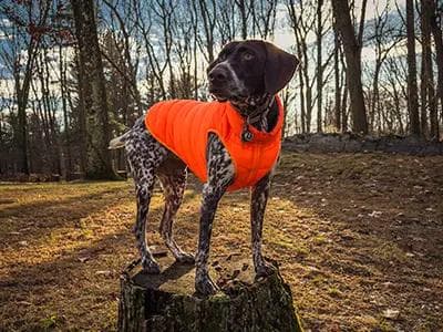 Matthew Duplinsky - IMG_5735 - Matthew Duplinsky