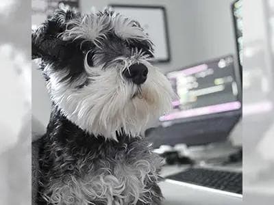 Adriana Lucatino - 20250219_132100 - Adriana Lucatino