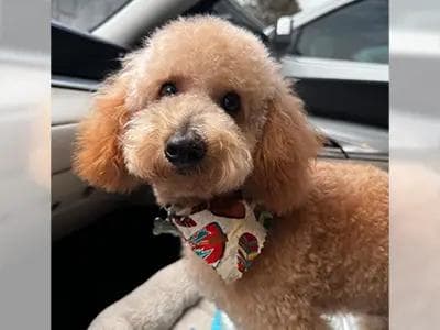 Ezequiel Gomez - IMG_2066 - Ezequiel Gomez