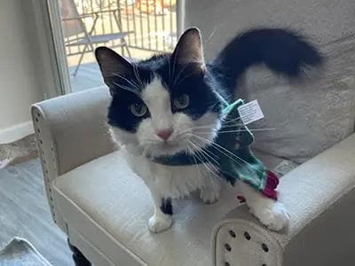 Daniel Hamilton - IMG_5799 - Dan Hamilton