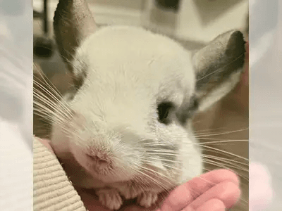 Adriana Lucatino - 20241021_221826 - Adriana Lucatino