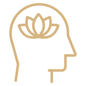 Calm, Cool, and Collected